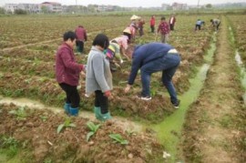 今日公布！云霄香烟批发一手货源总仓“俯拾皆市”